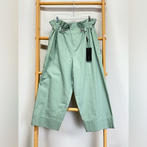 DENI CLER Mint Green paperbag waist cropped pants size 8 - Picture 6 of 12